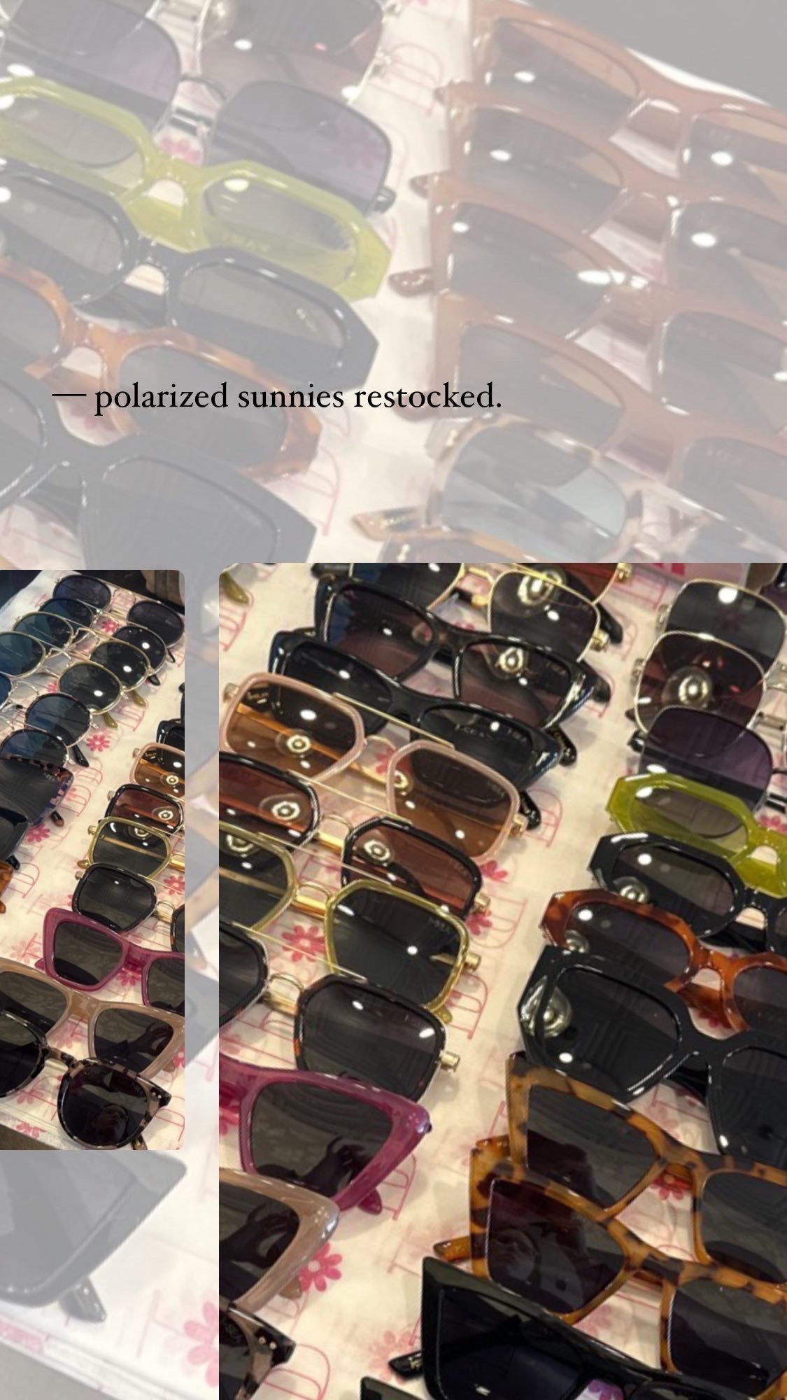 POLARIZED SUNNIES